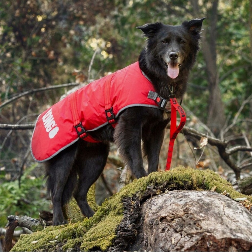 KONG outwear dog rip-stop blanket jacket